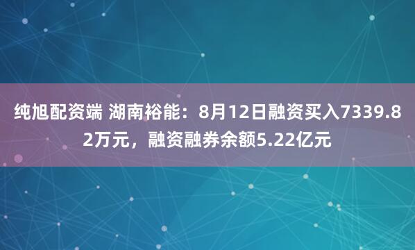 纯旭配资端 湖南裕能：8月12日融资买入7339.82万元，融资融券余额5.22亿元