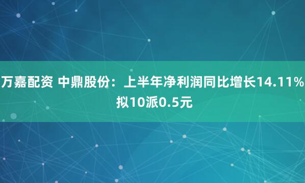 万嘉配资 中鼎股份：上半年净利润同比增长14.11% 拟10派0.5元